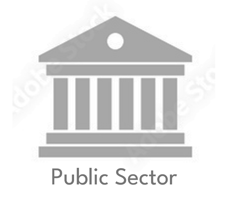 Public Sector