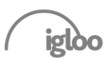 igloo 2